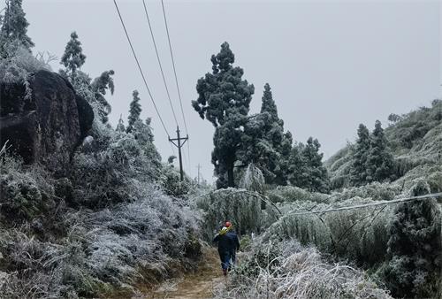 國(guó)網(wǎng)壽寧縣供電公司寒潮特巡嚴(yán)防線(xiàn)路覆冰