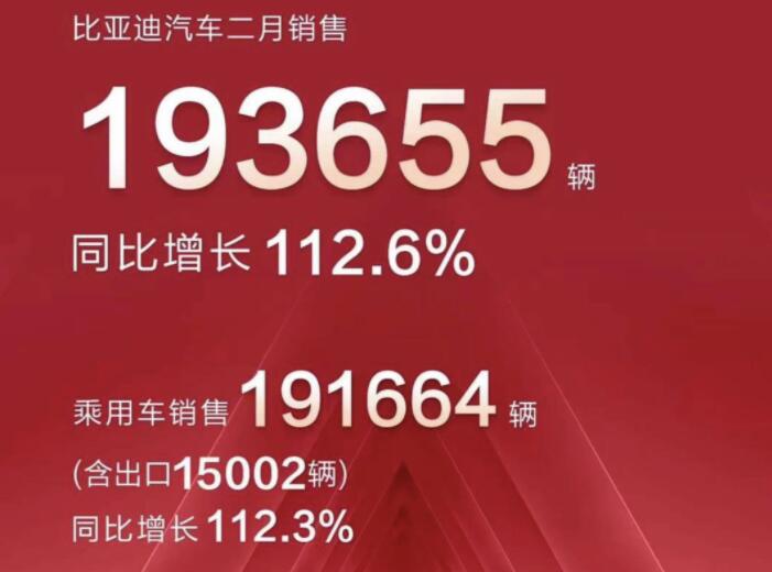 2月新能源車企成績單出爐，比亞迪一騎絕塵