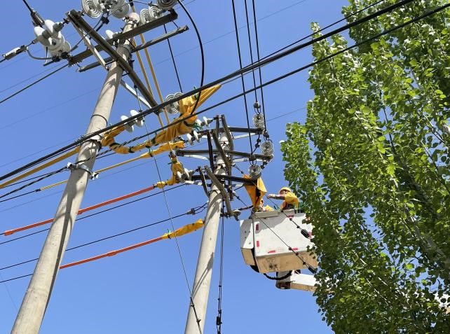帶電作業(yè)除隱患，安全供電有保障