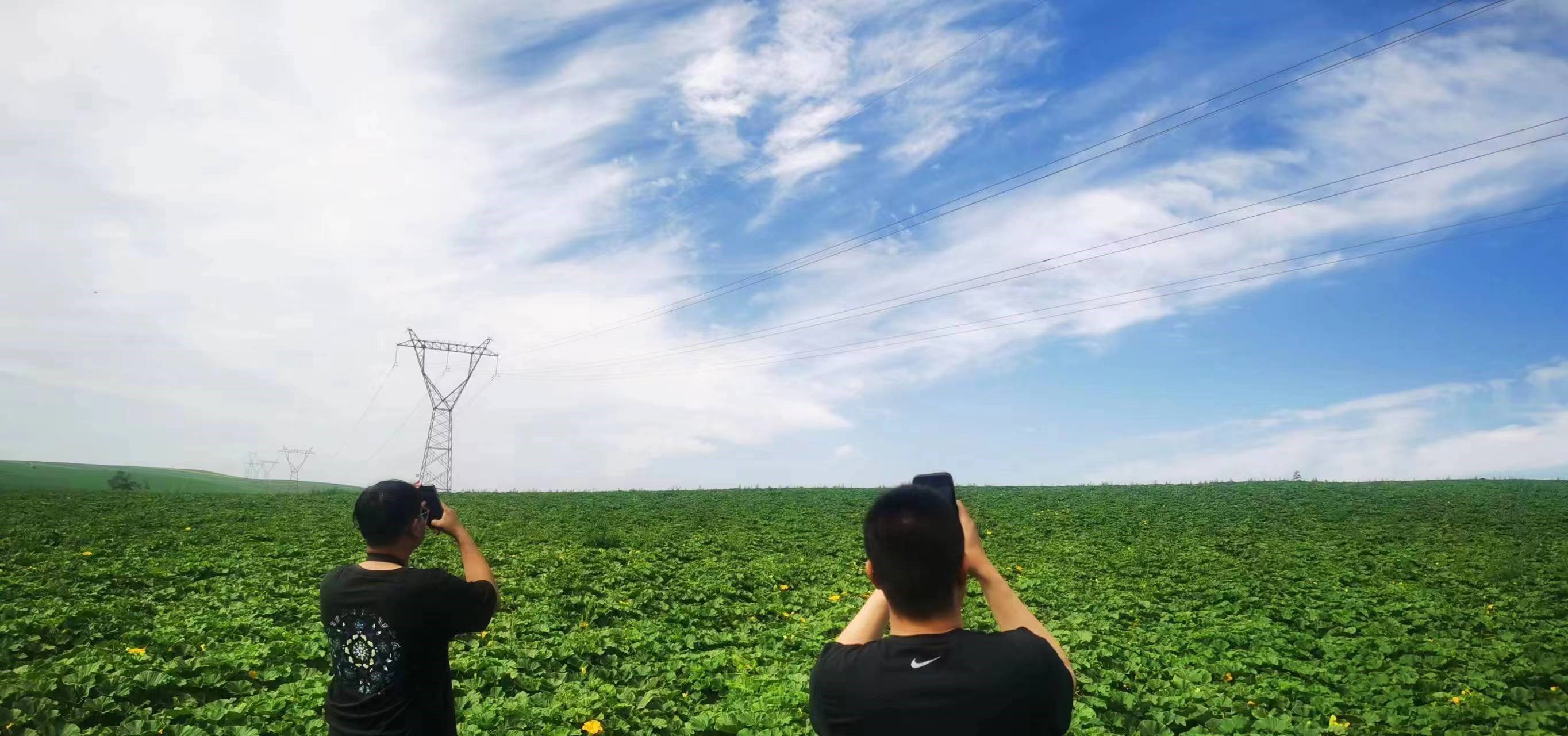 四子王輸變電管理處：防外力破壞，助安全運行