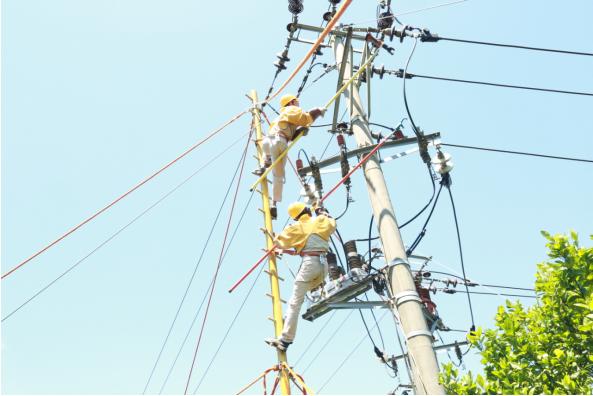 漳州市縣聯合實施全地形不停電作業(yè) 全力保障迎峰度夏可靠用電